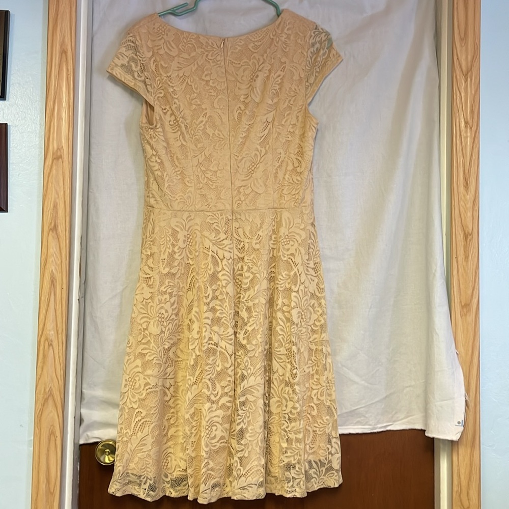 Berry Love Lace Dress - Picture 6 of 8